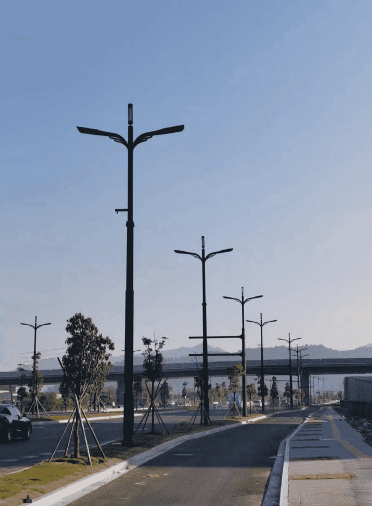 Wealth Avenue Integrated Pole Smart Street Lights